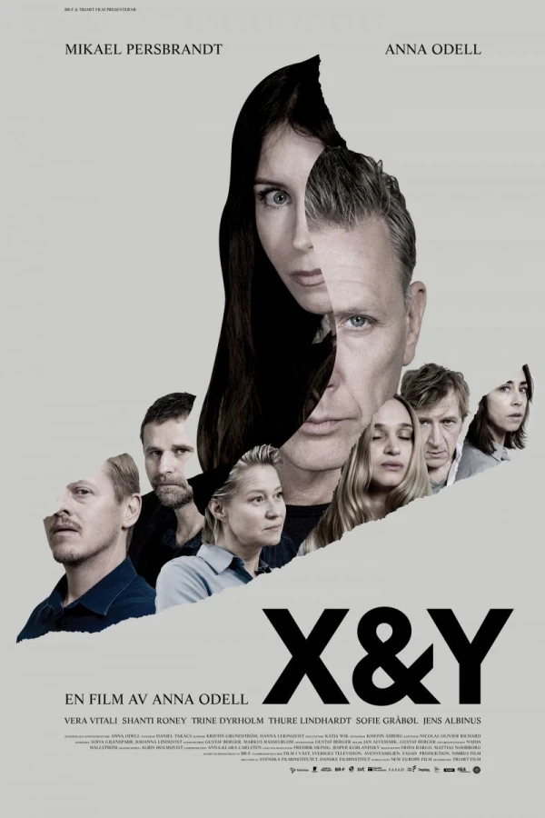X och Y Poster