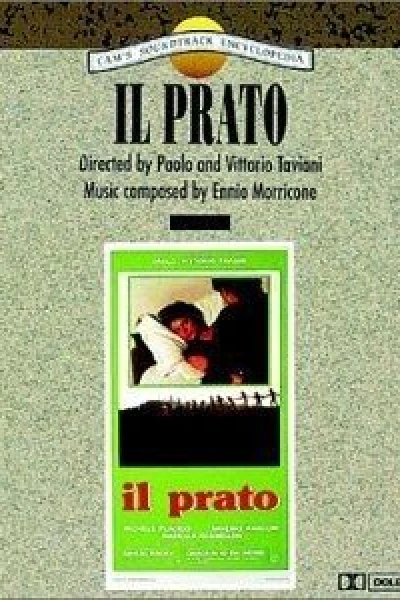 Il prato