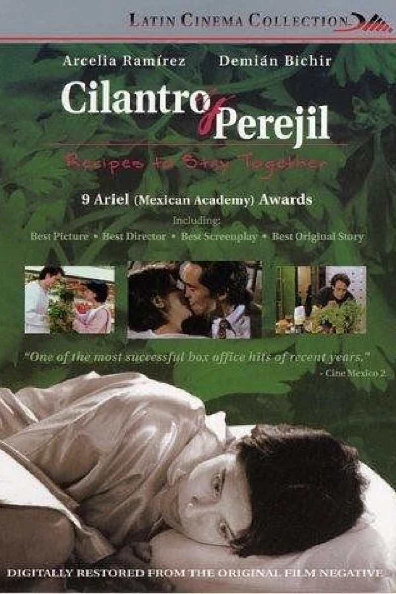 Cilantro y perejil Poster