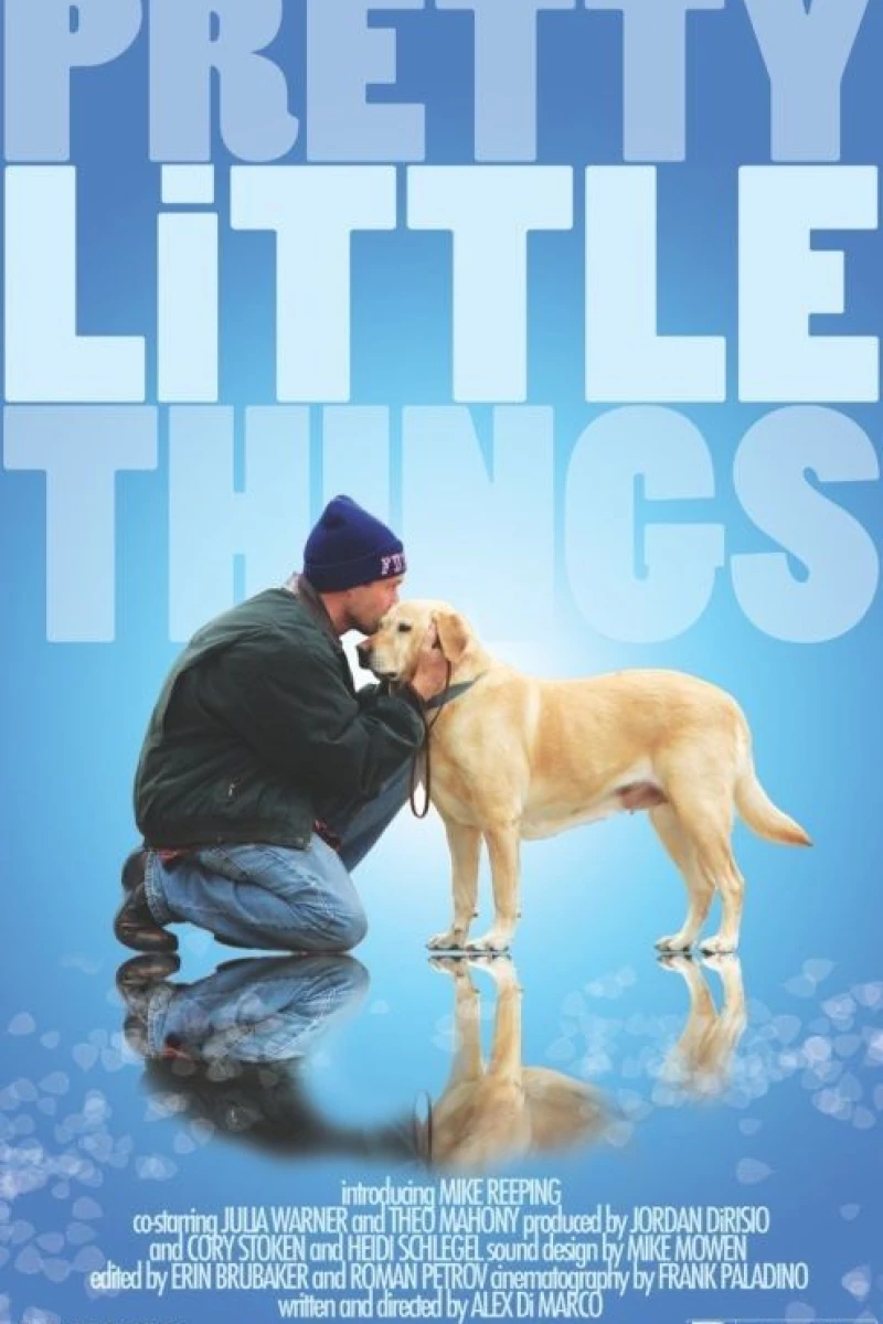 Pretty Little Things Poster