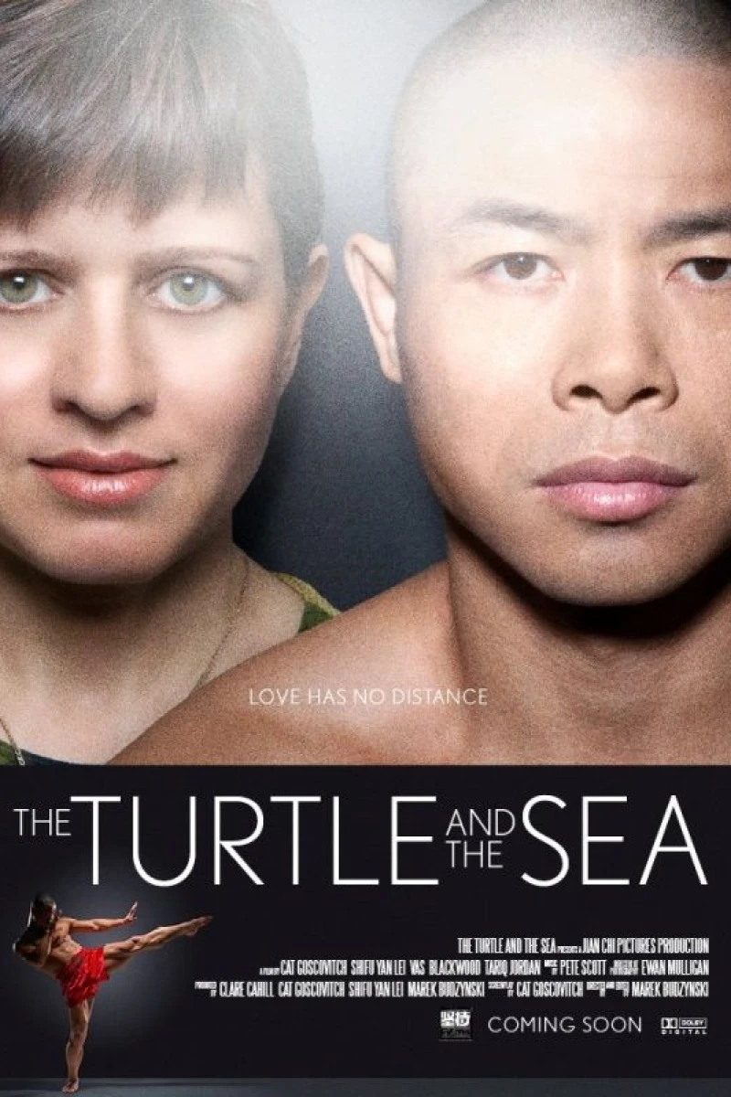 The Turtle and the Sea Poster