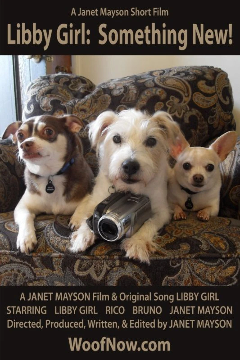 Libby Girl: Something New! Poster