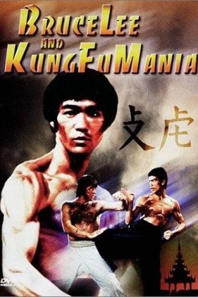 Bruce Lee and Kung Fu Mania