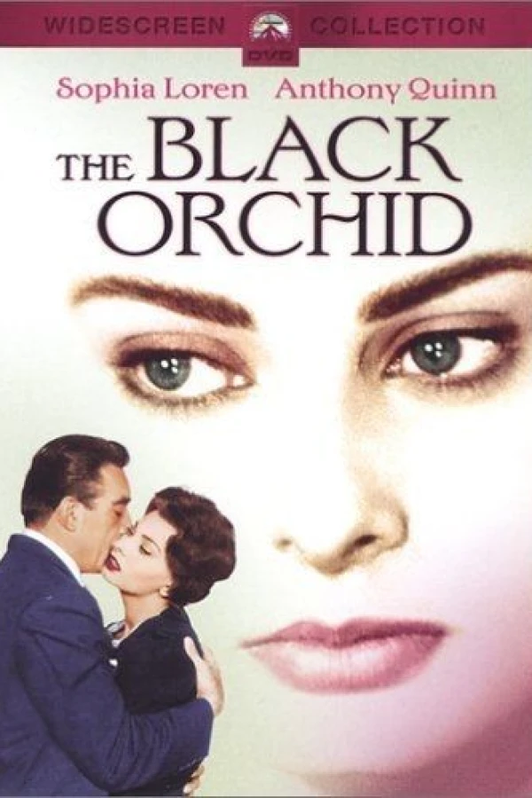 The Black Orchid Poster