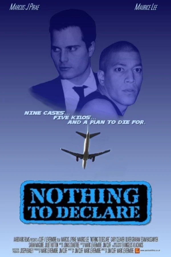 Nothing to Declare Poster