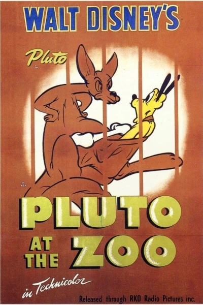 Pluto på zoo
