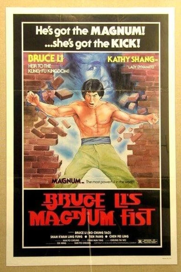 Bu ze shou duan Poster