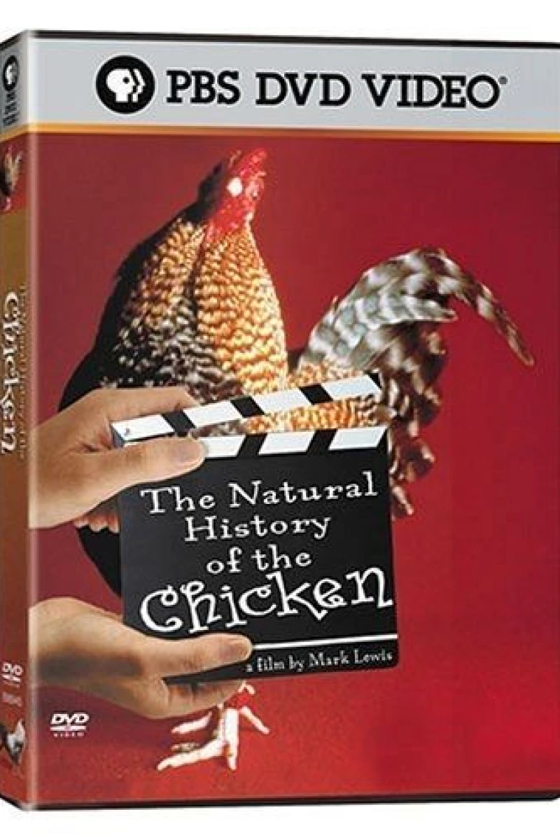 The Natural History of the Chicken Poster