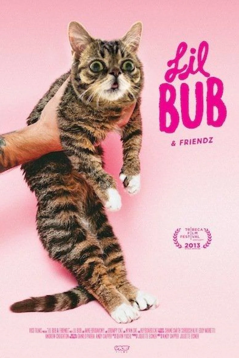 Lil Bub Friendz Poster