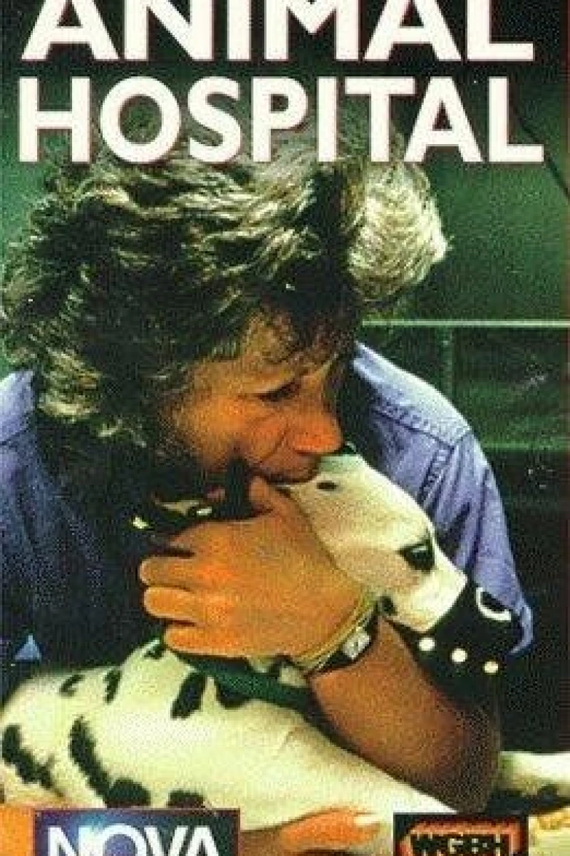 Animal Hospital Poster