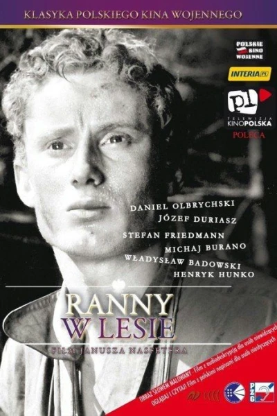 Ranny w lesie