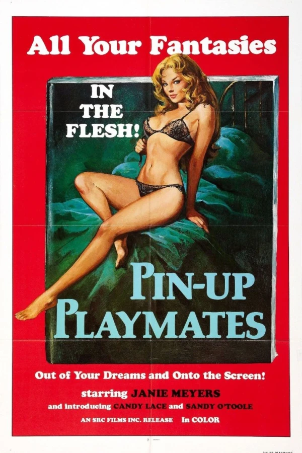 Swedish Massage Parlour Poster