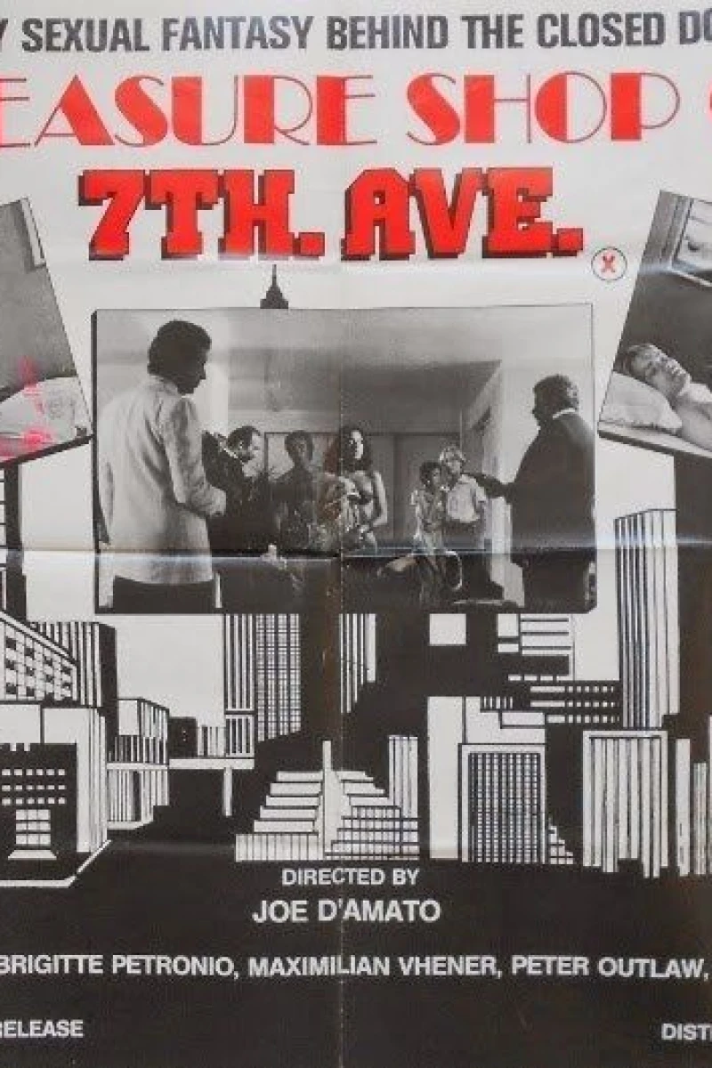 Pleasure Shop on the Avenue Poster