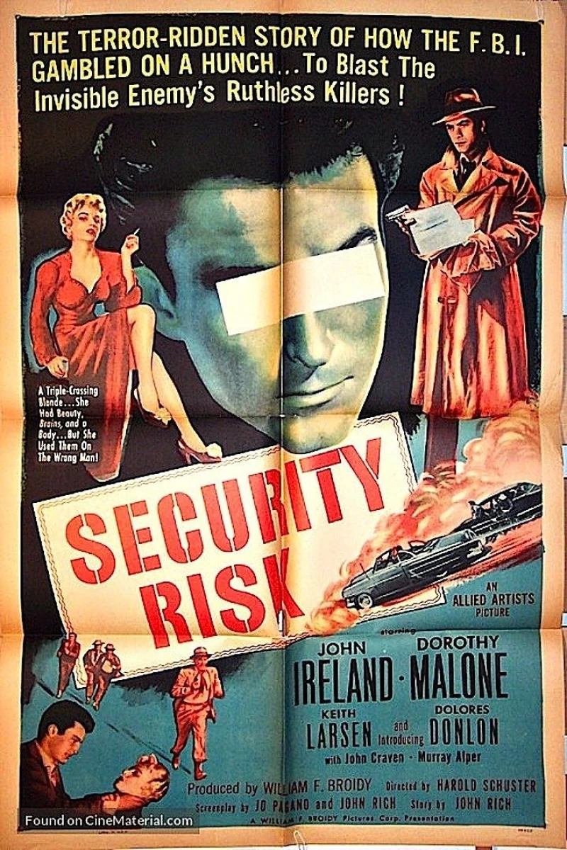 Security Risk Poster