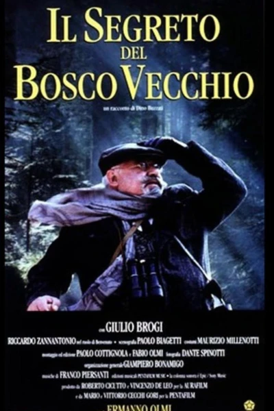 Il segreto del bosco vecchio