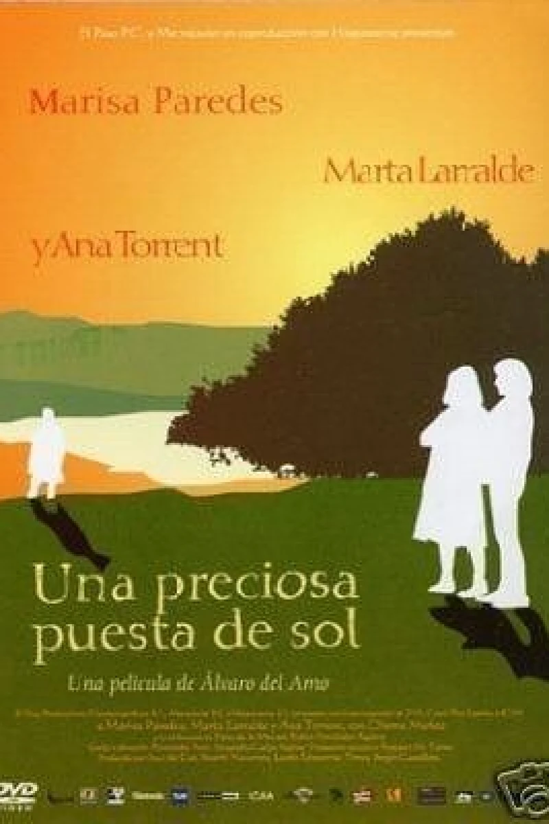 Una preciosa puesta de sol Poster