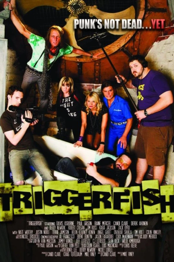 Triggerfish Poster