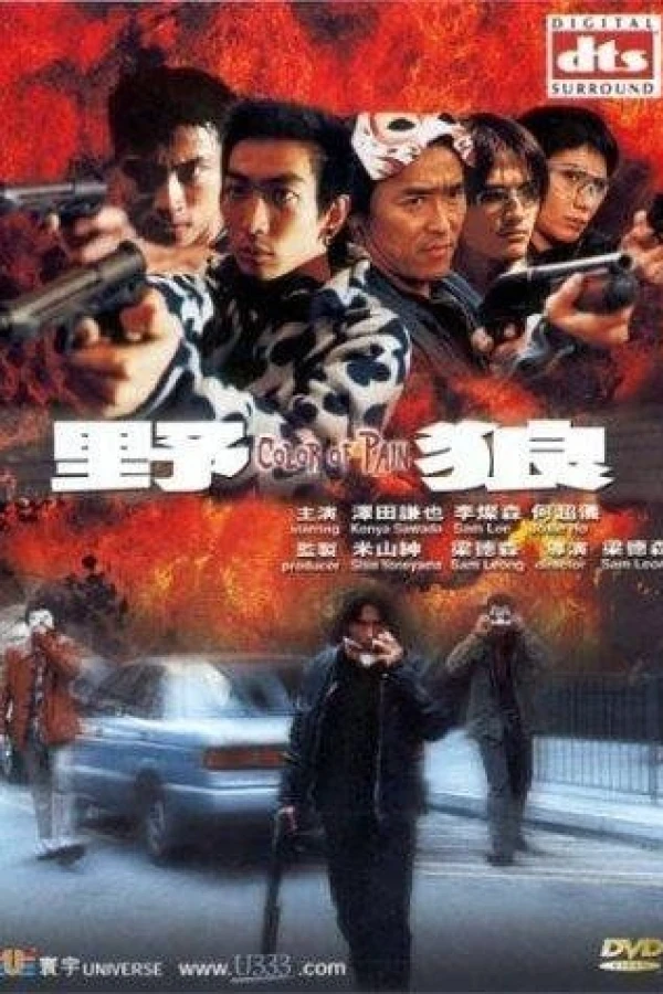 The Color of Pain Poster