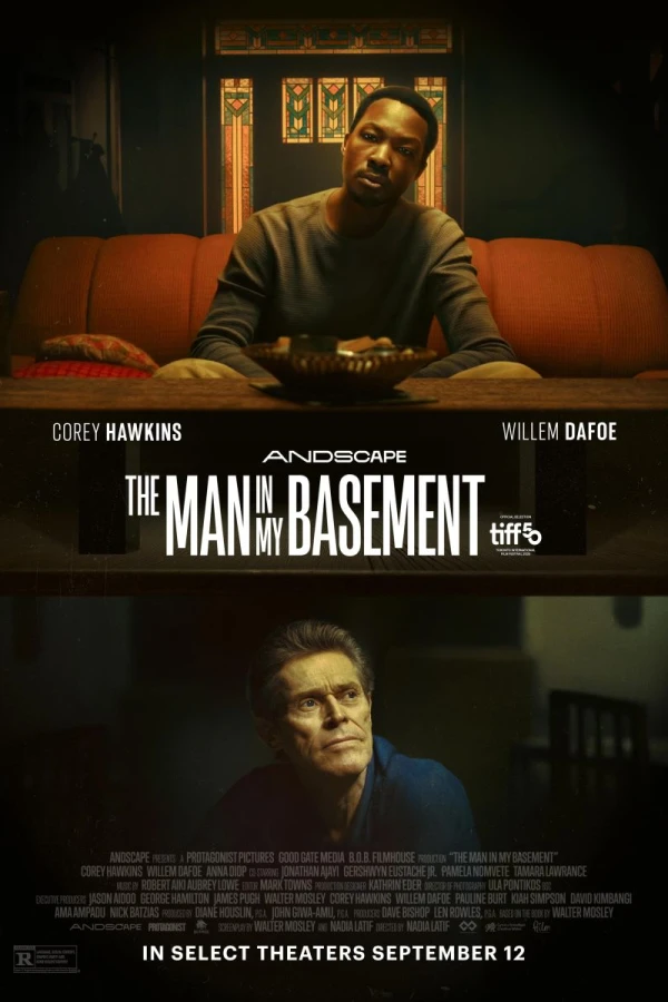 The: Man in My Basement Poster