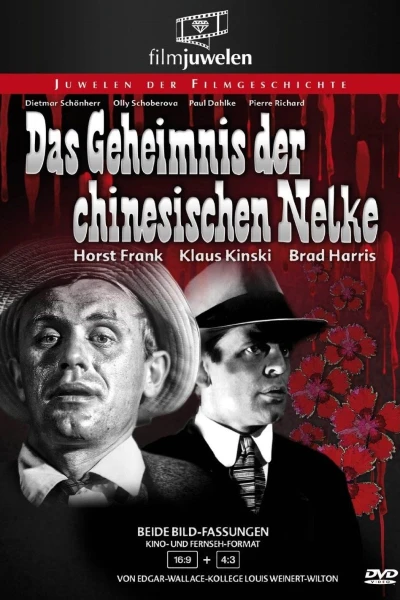 Das Geheimnis der chinesischen Nelke