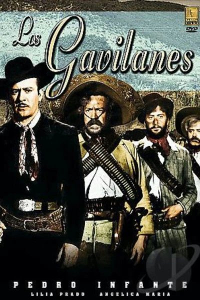 Los gavilanes