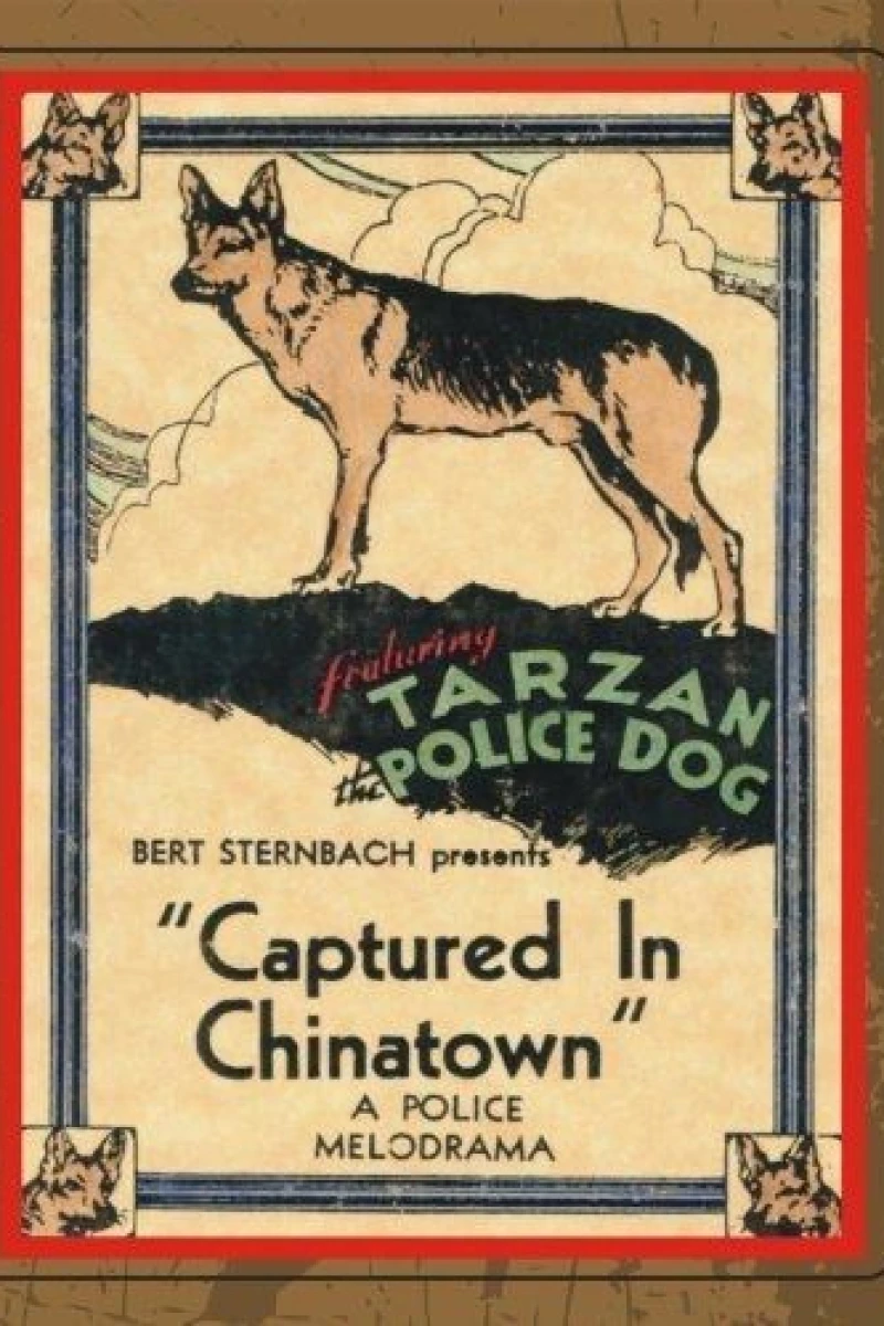 Captured in Chinatown Poster