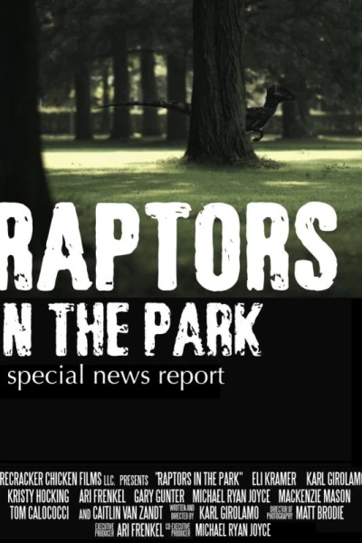 Raptors in the Park