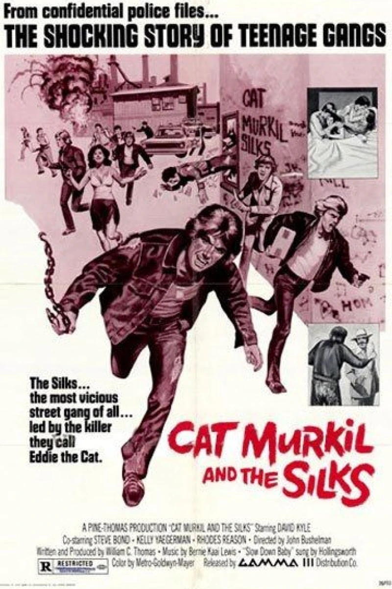 Cat Murkil and the Silks Poster