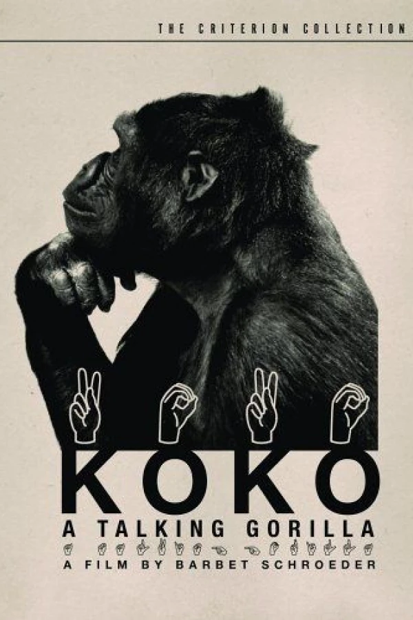 Koko: A Talking Gorilla Poster