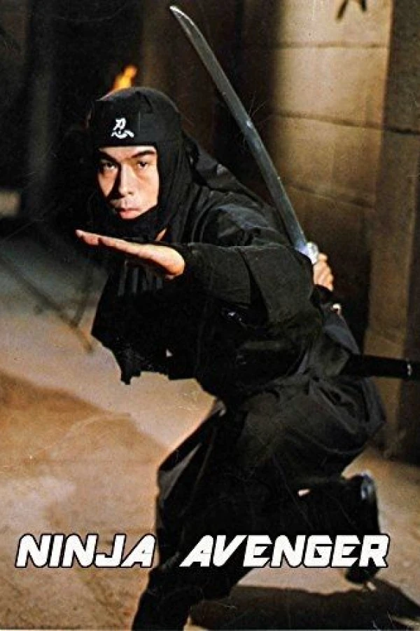 Fei yan zou bi Poster