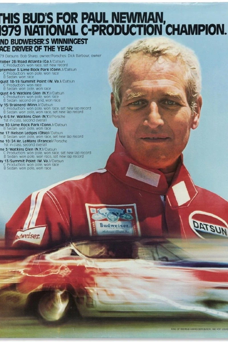 The Racing Experience Poster