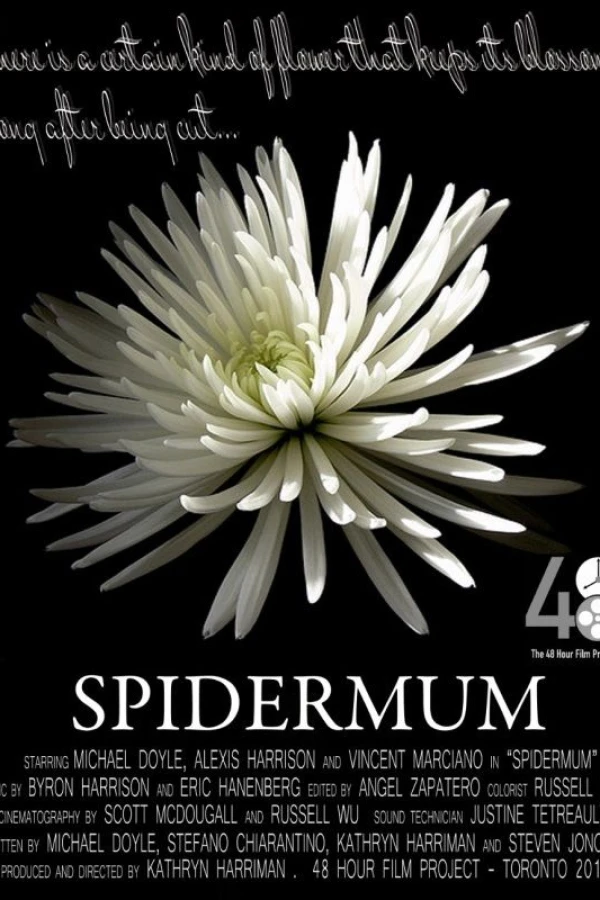 Spidermum Poster