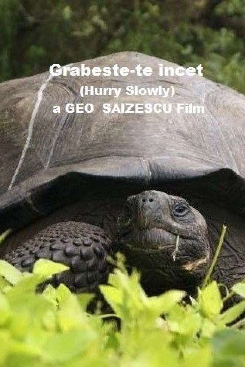 Grabeste-te încet Poster