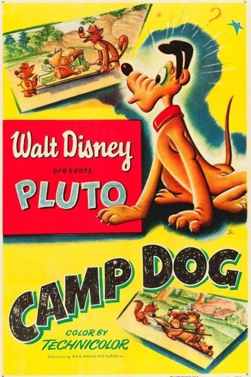 Camp Dog Poster