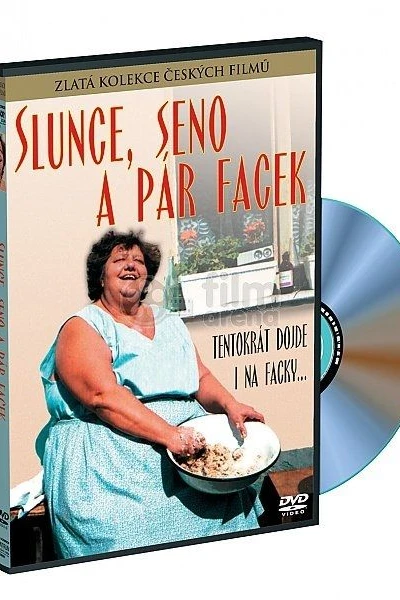 Slunce, seno a pár facek