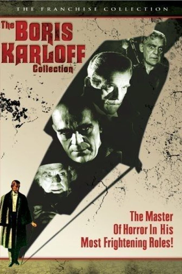 The Strange Door Poster
