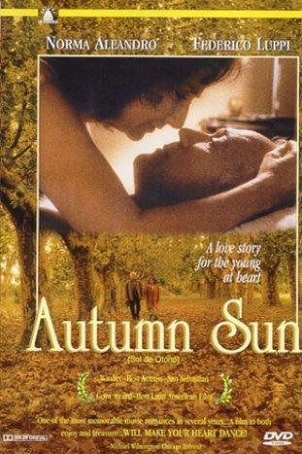 Autumn Sun Poster