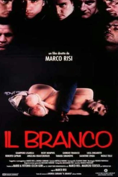 Il branco