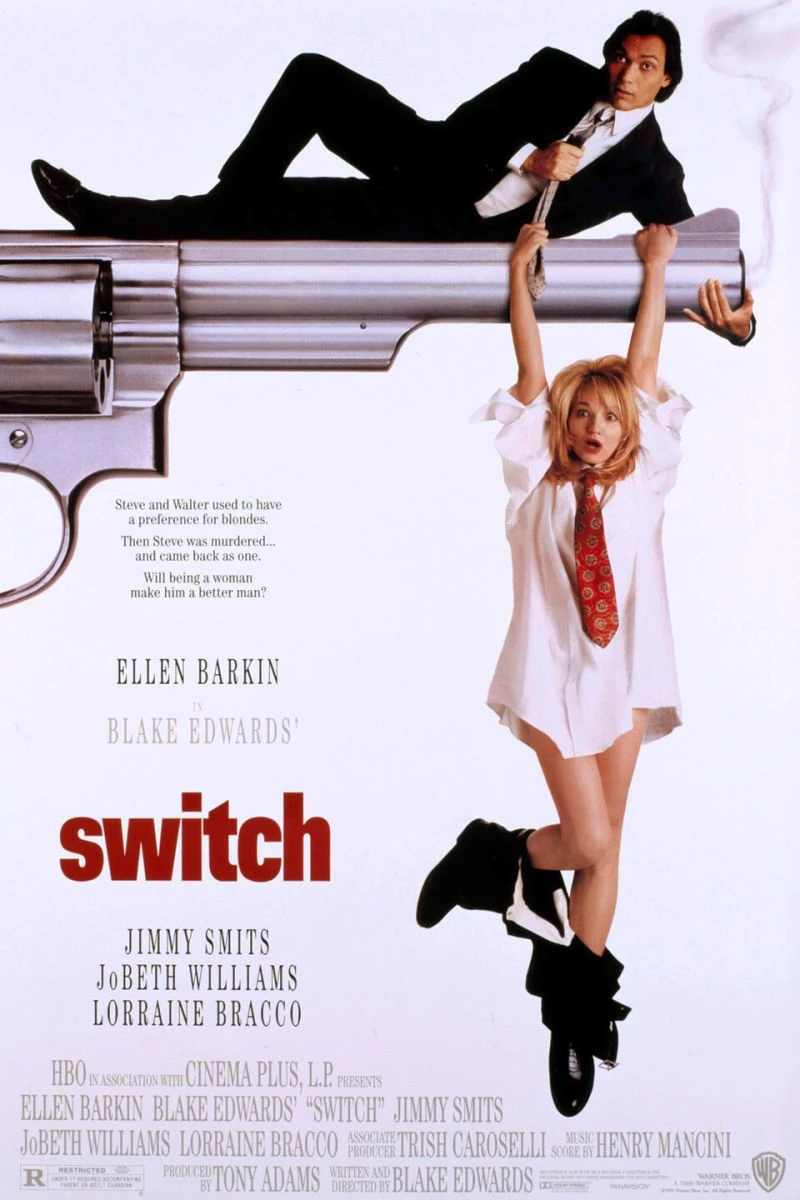 Switch Poster