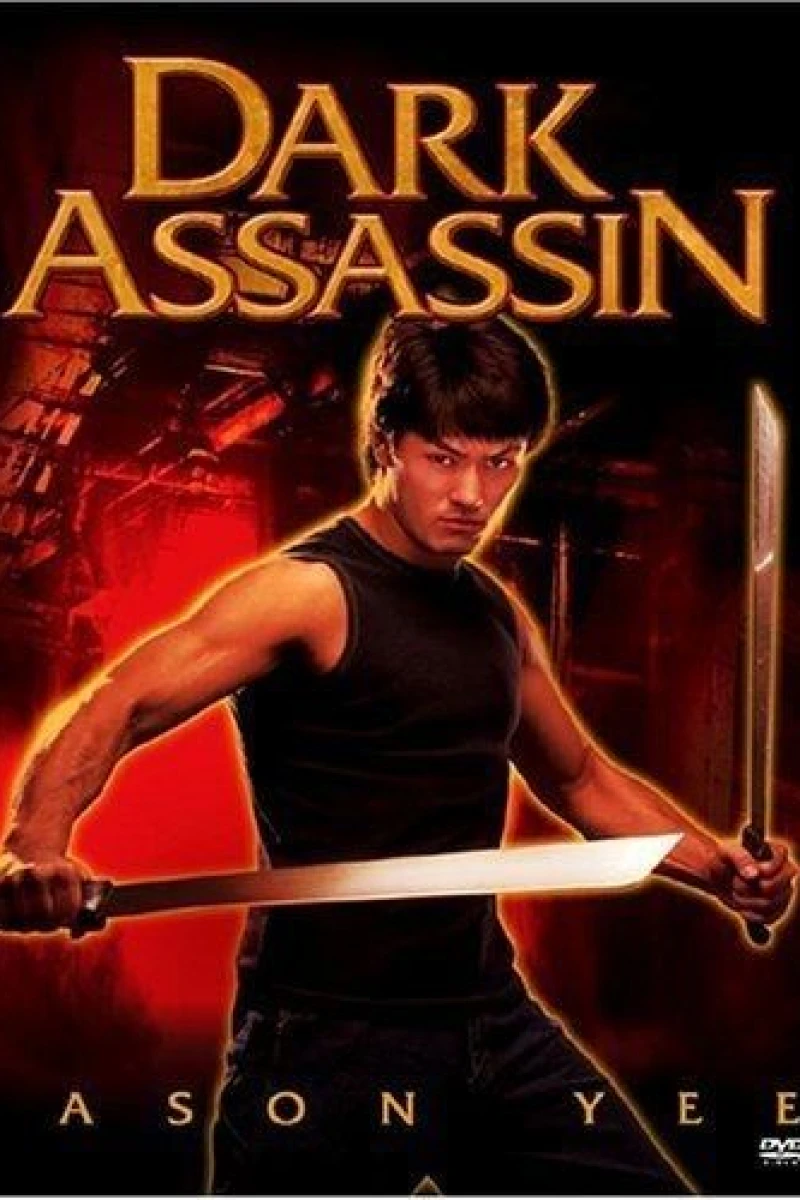 Dark Assassin Poster