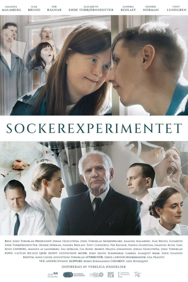 Sockerexperimentet Poster