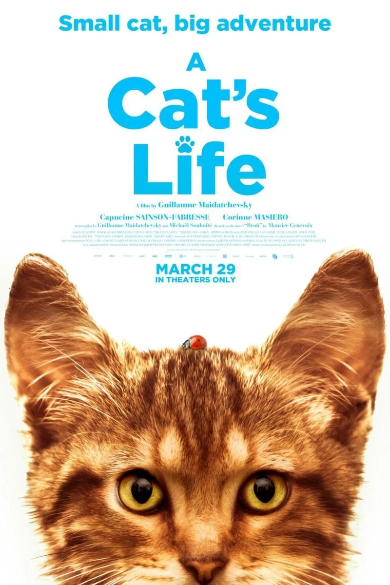 Min katt och jag Poster