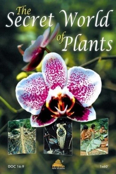 The Secret World of Plants
