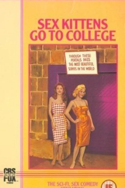 Sex Kittens Go to College