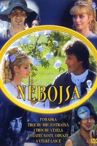 Nebojsa