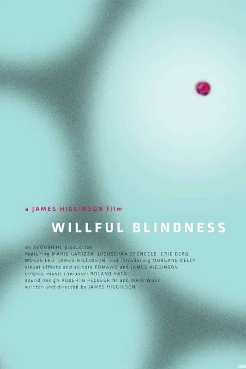 Willful Blindness Poster