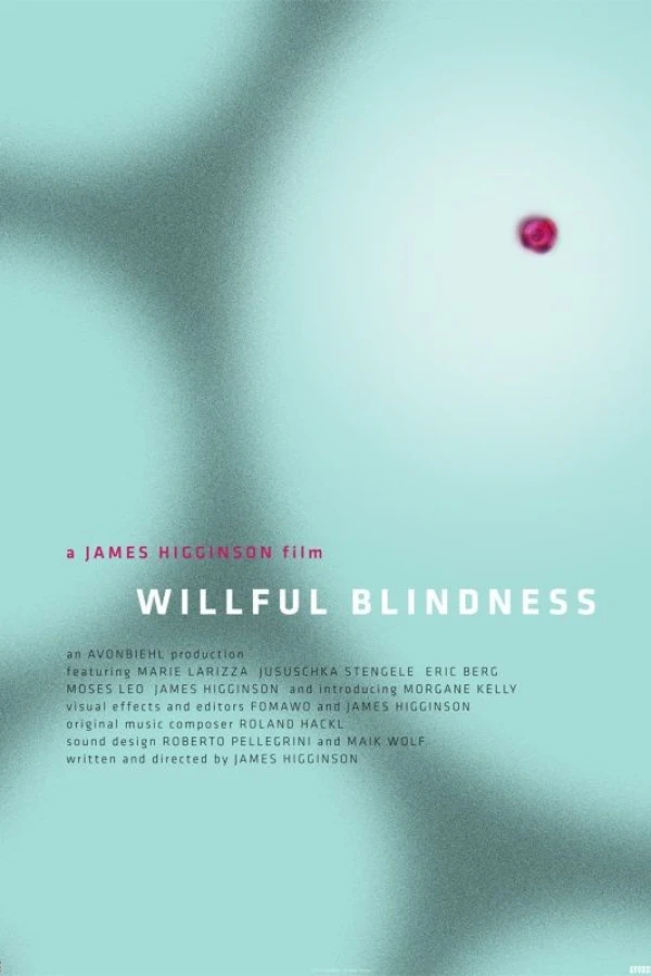 Willful Blindness Poster