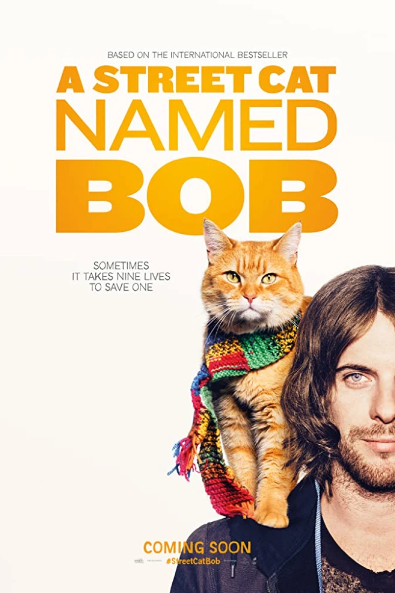 Gatukatten Bob Poster