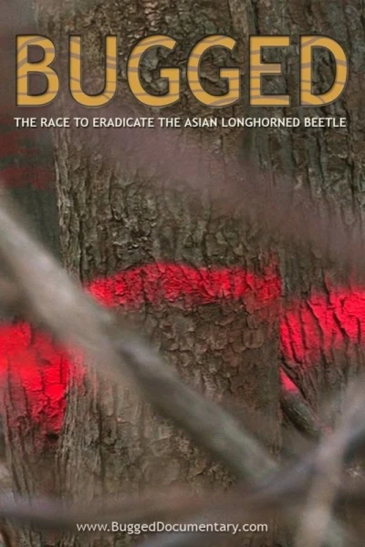 BUGGED: The Race to Eradicate the Asian Longhorned Beetle