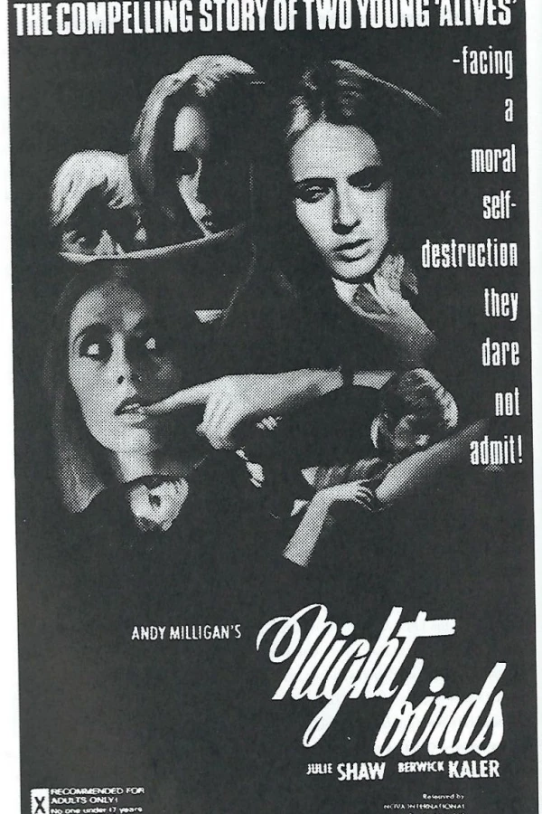 Nightbirds Poster